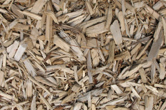 biomass boilers Praa Sands